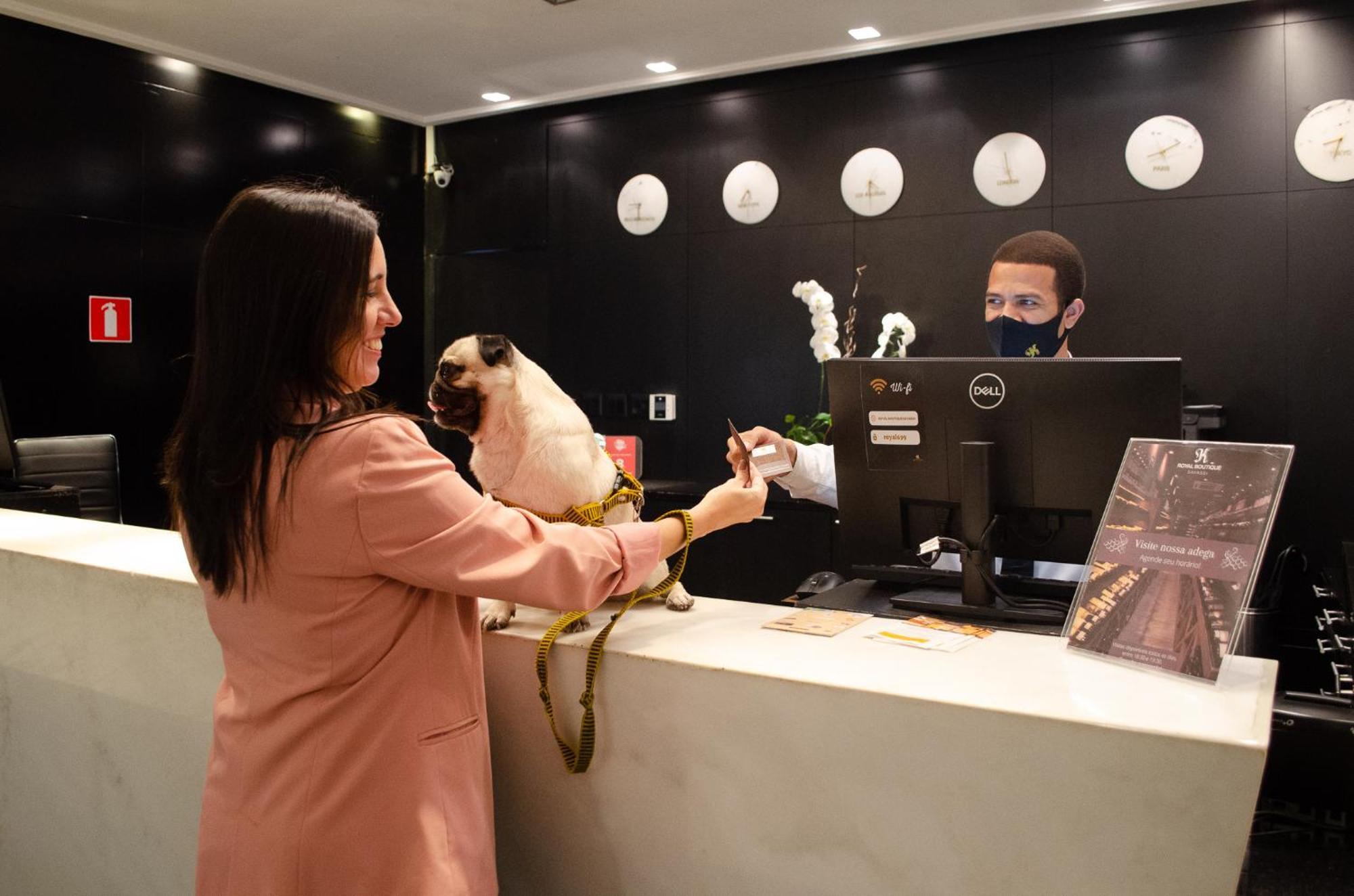 Royal Boutique Savassi Hotel Belo Horizonte Bagian luar foto A woman checking in at a hotel with her dog